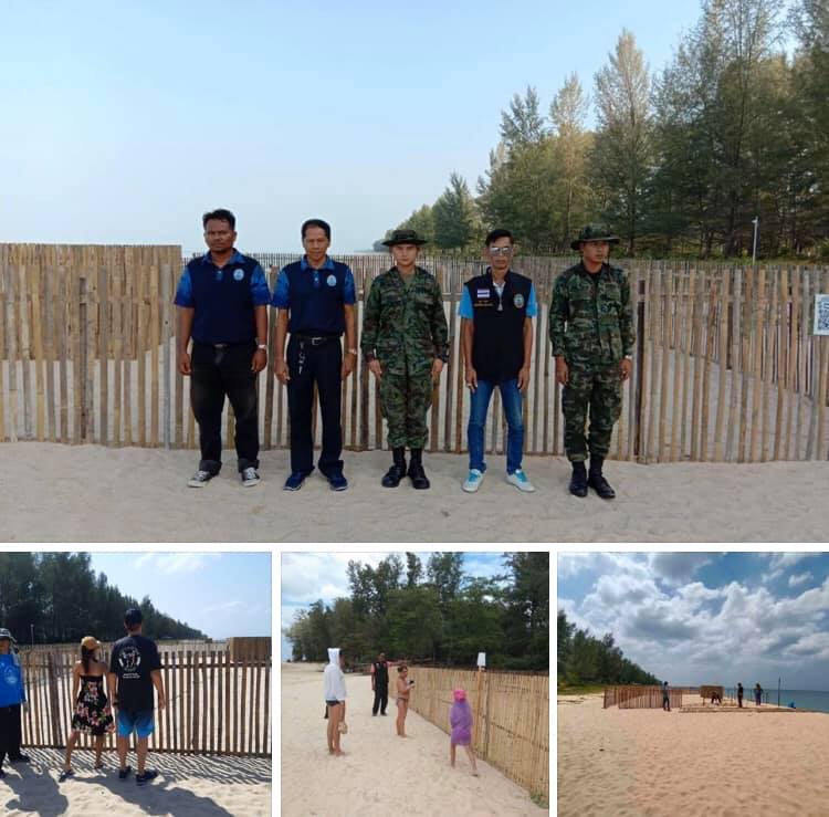 อดใจรออีดนิด ลูกเต่าฟักหลุมต่อไปหาดในยาง