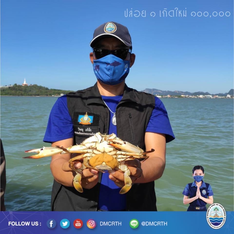 สวัสดี พี่น้องเครือข่ายอนุรักษ์ทะเลไทย
