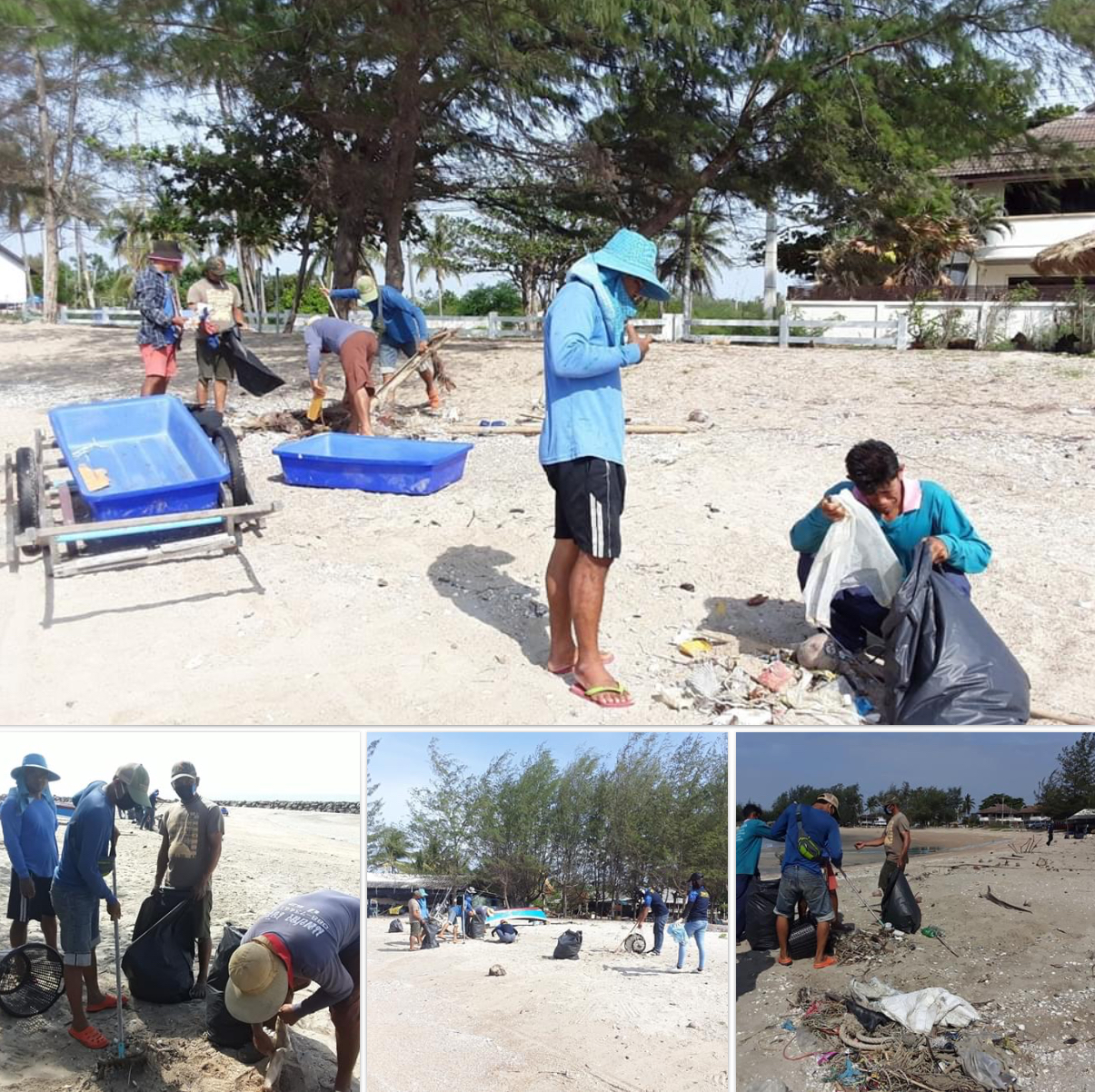มาช่วยกันได้ทุกวัน เก็ยขยะหาดเจ้าสำราญ-แหลมผักเบี้ย