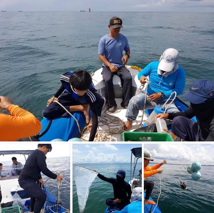 สำรวจคุณภาพน้ำและสิ่งแวดล้อมชายฝั่งอ่าวระยอง