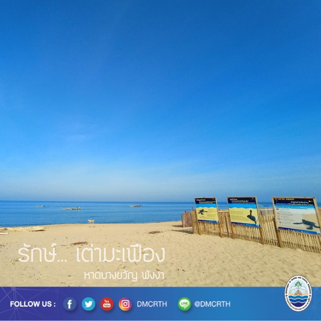 สวัสดี พี่น้องเครือข่ายอนุรักษ์ทะเลไทย