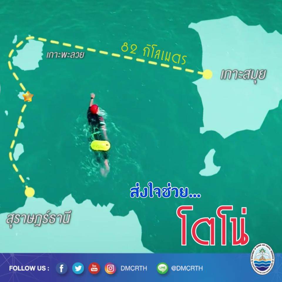 สวัสดี พี่น้องเครือข่ายอนุรักษ์ทะเลไทย