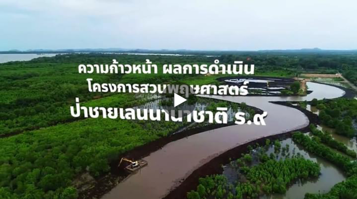 เที่ยงวัน วันละคลิป สารคดีความก้าวหน้าของการก่อสร้างสวนพฤษศาสตร์ป่าชายเลนนานาชาติ ร.๙