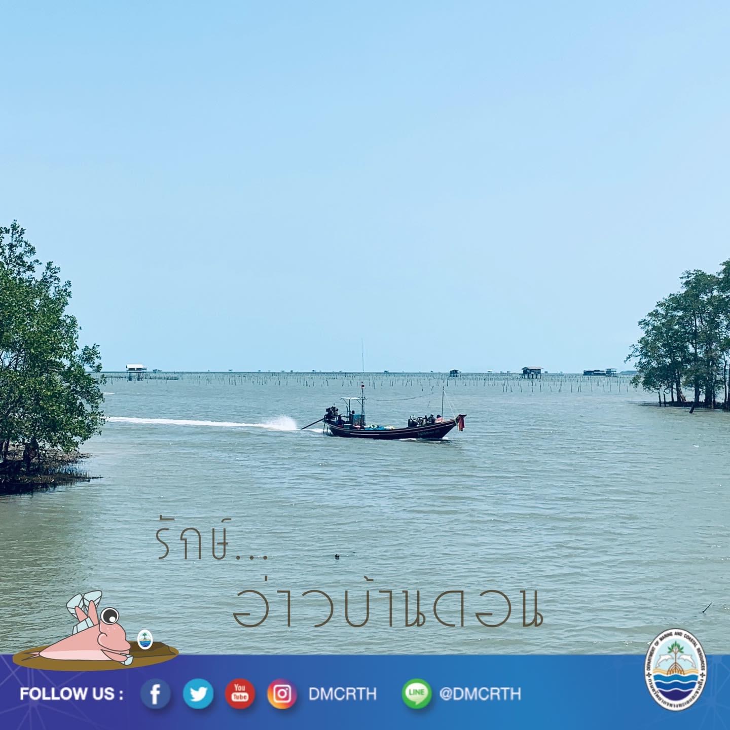 สวัสดี พี่น้องเครือข่ายอนุรักษ์ทะเลไทย