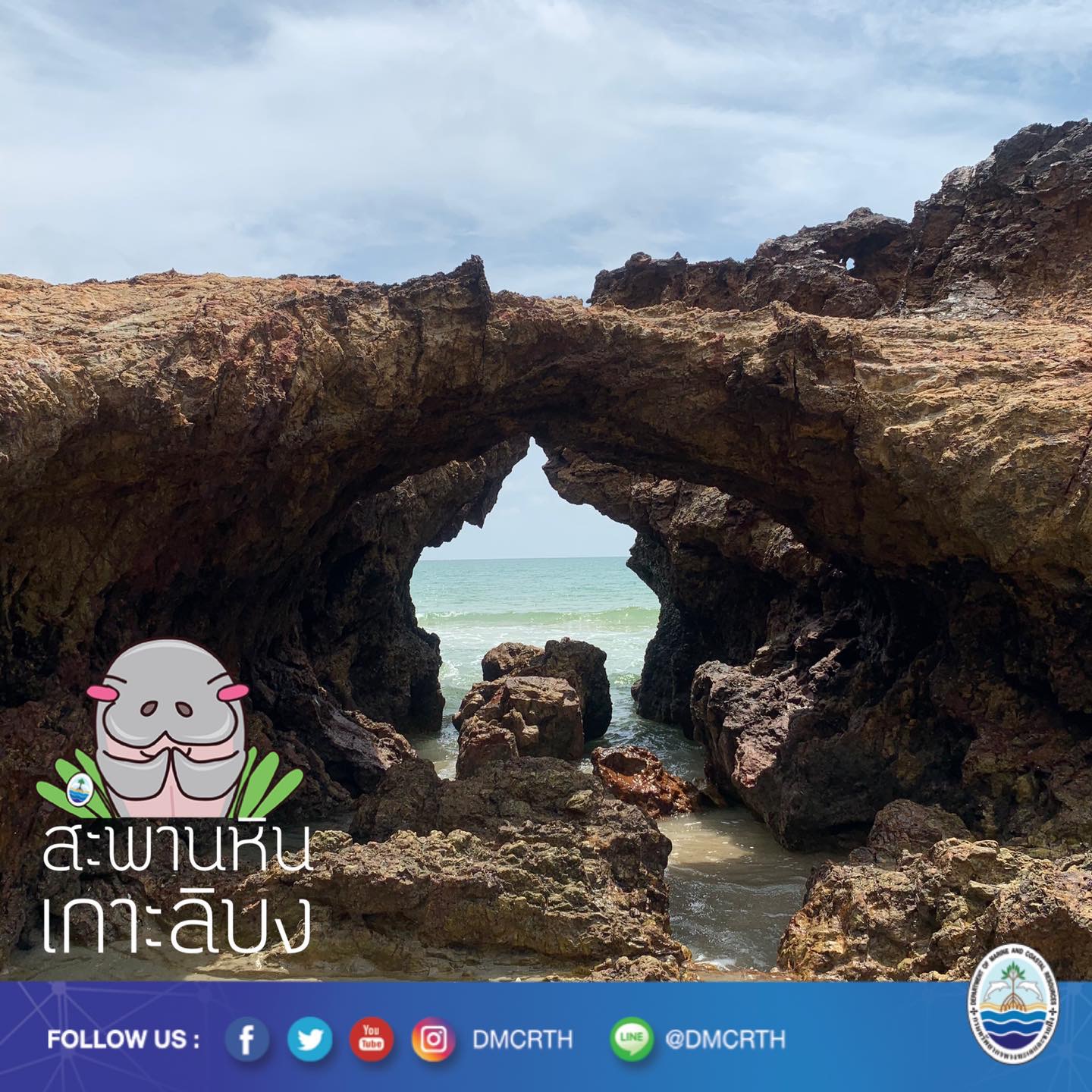 สวัสดี พี่น้องเครือข่ายอนุรักษ์ทะเลไทย