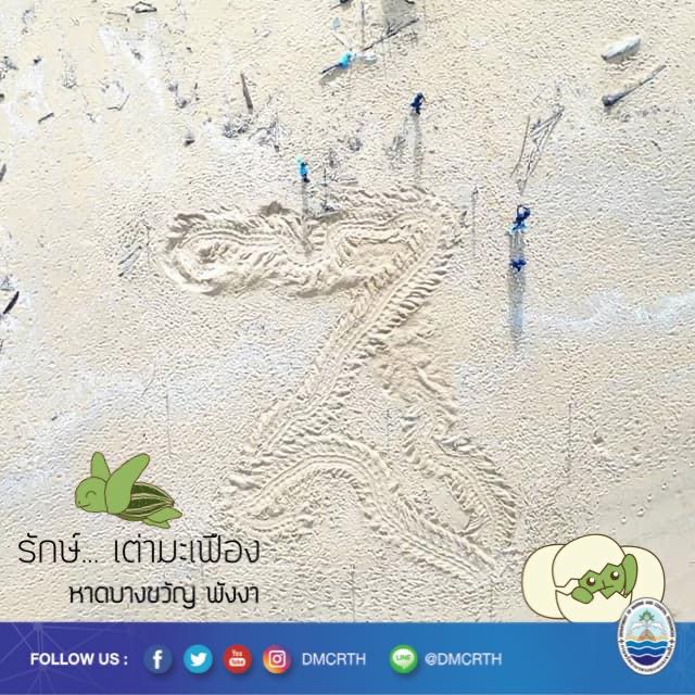 สวัสดี พี่น้องเครือข่ายอนุรักษ์ทะเลไทย