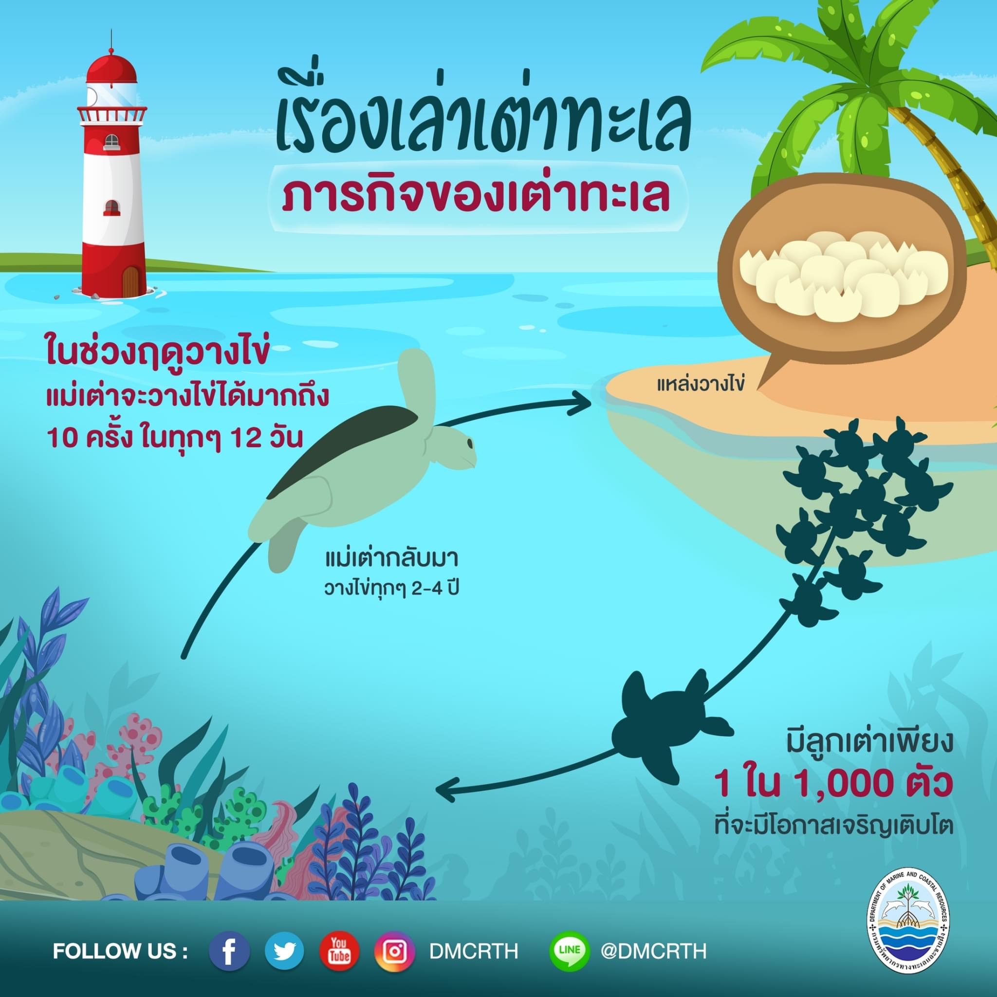 ช่วงนี้อยู่บ้าน ทช. ชวนเรียนรู้เรื่องเล่าเต่าทะเลตอนที่ ๔