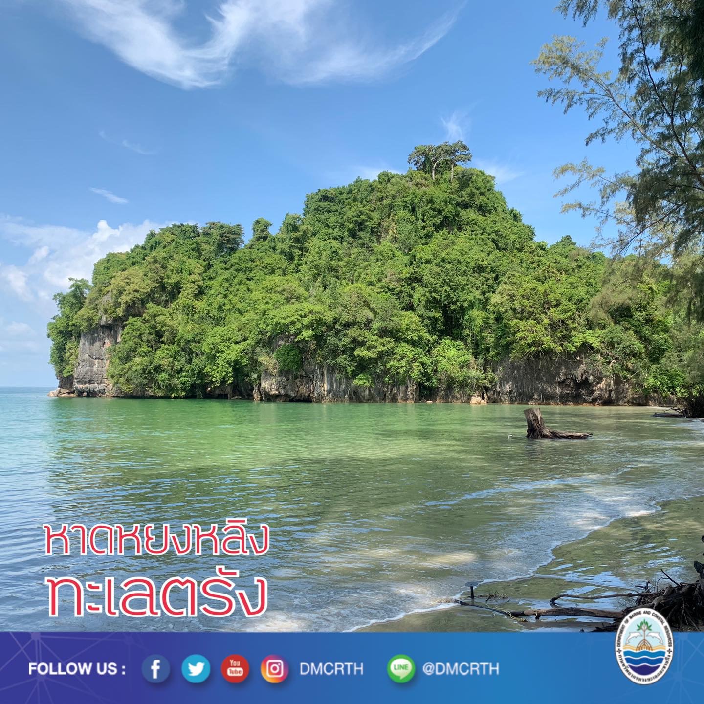 สวัสดี พี่น้องเครือข่ายอนุรักษ์ทะเลไทย