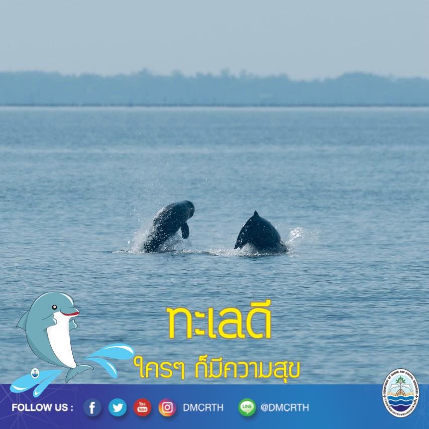 สวัสดี พี่น้องเครือข่ายอนุรักษ์ทะเลไทย