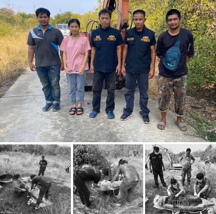 ฝังซากโลมา พบเกยชายฝั่งบางปูใหม่