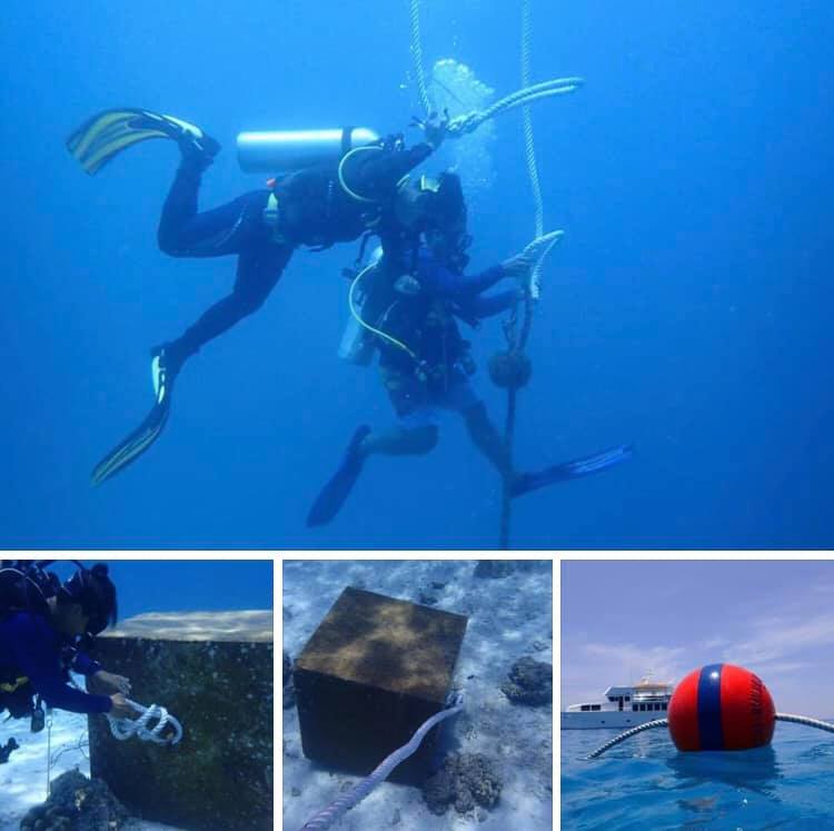 ติดตั้งทุ่นจอดเรือสร้างเกราะป้องกันแนวปะการัง เกาะราชาใหญ่