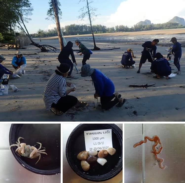 สำรวจความสมบูรณ์ท้องทะเลอันดามัน ชายหาดคลองสน