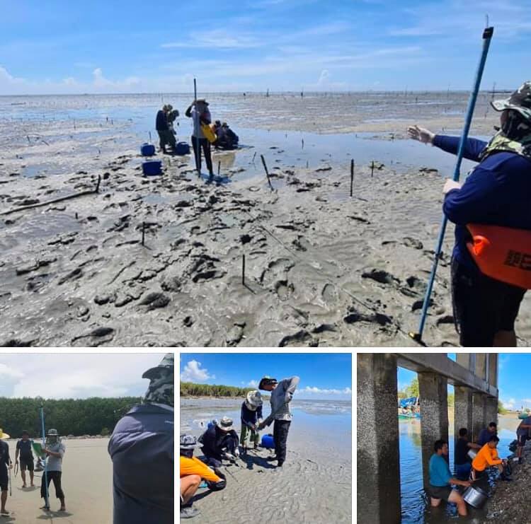 สำรวจความหลากหลายสิ่งมีชีวิต หาดแหลมผักเบี้ย
