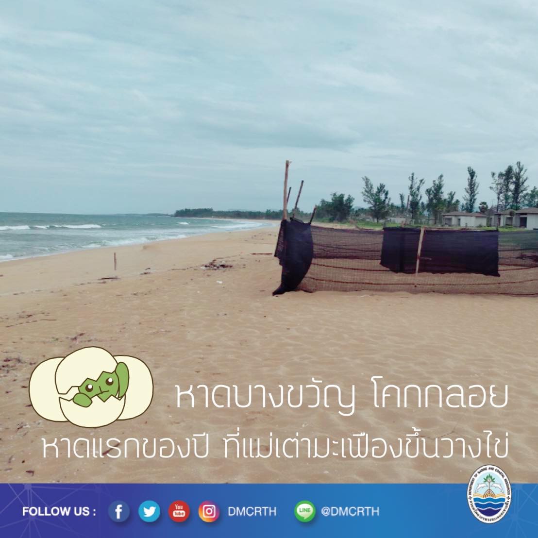 สวัสดี พี่น้องเครือข่ายอนุรักษ์ทะเลไทย