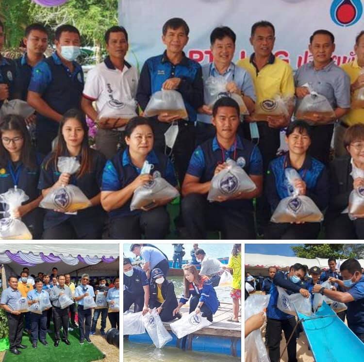 เพิ่มปริมาณสัตว์น้ำสร้างสมดุลระบบนิเวศทะเลระยอง