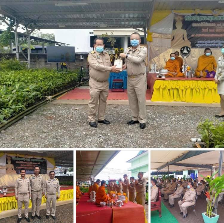สุราษฎร์ธานีส่งไม้ป่าชายเลน ร่วมพิธีเจริญพระพุทธมนต์พฤกษามหามงคล