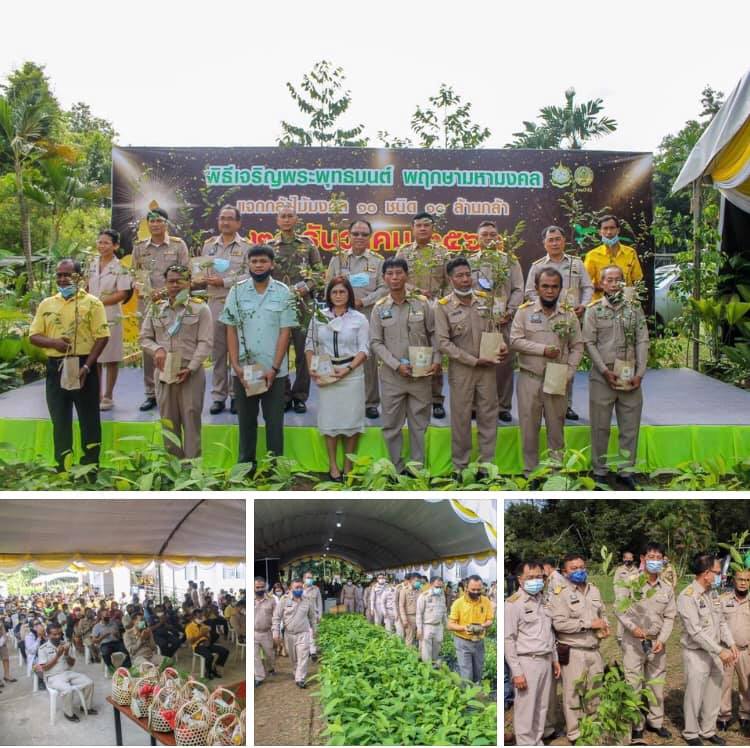 ทช. เขตใต้ ส่งไม้ป่าชายเลน ร่วมพิธีเจริญพระพุทธมนต์พฤกษามหามงคล