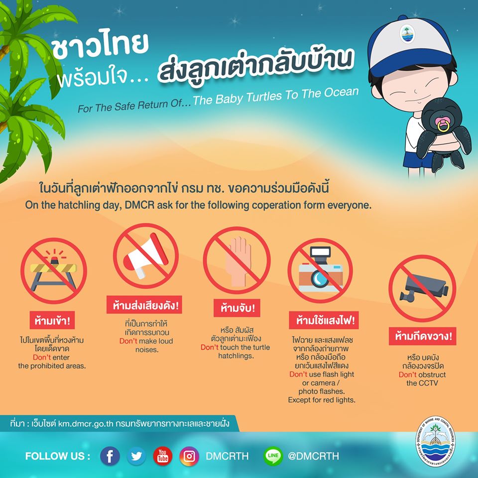 เรารักเต่ามะเฟือง ตอนที่ ๘ : การส่งลูกเต่ากลับบ้านอย่างปลอดภัย