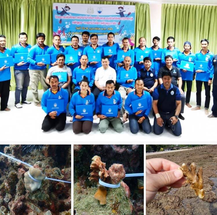 สร้างนักดำน้ำอนุรักษทะเล ฟื้นฟูปะการังภูเก็ตเพิ่ม