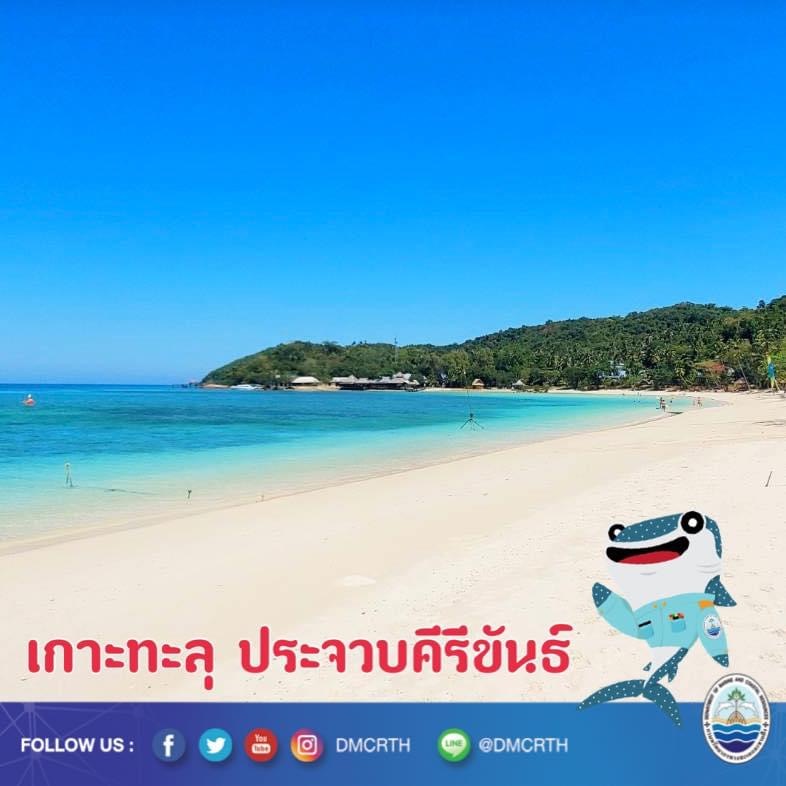 สวัสดี พี่น้องเครือข่ายอนุรักษ์ทะเลไทย