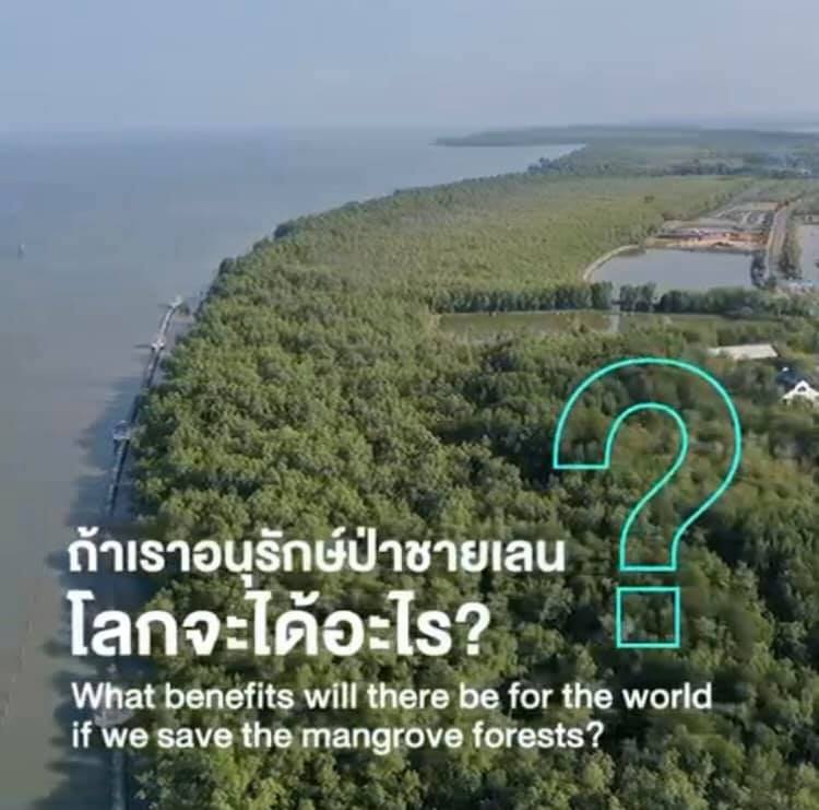 ถ้าเรารักษ์...ป่าชายเลน โลกเราจะได้อะไร