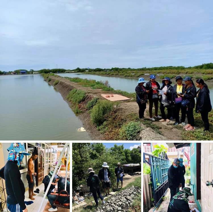 ลุยสำรวจเพิ่มพื้นที่ป่าชายเลนบางขุนเทียน สู้ภัยโควิด