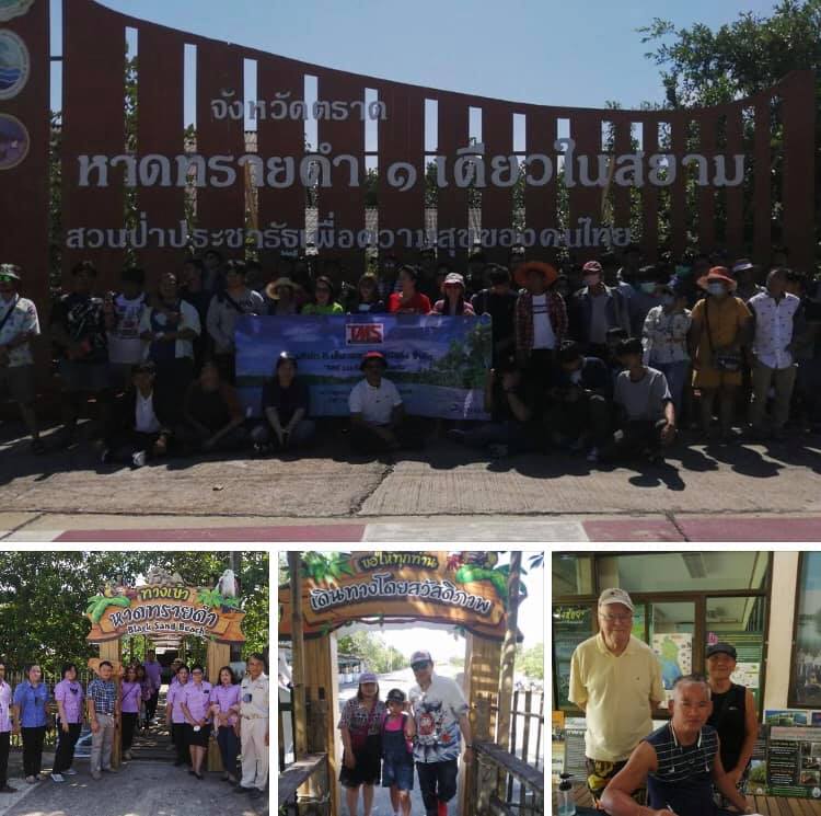 ของดีเมืองตราด หาดทรายดำ เยี่ยมชมป่าชายเลน