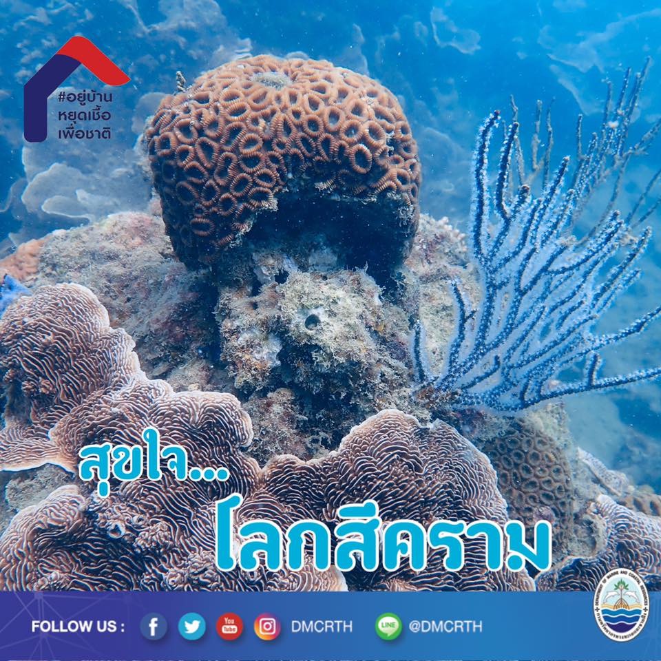 สวัสดี พี่น้องเครือข่ายอนุรักษ์ทะเลไทย
