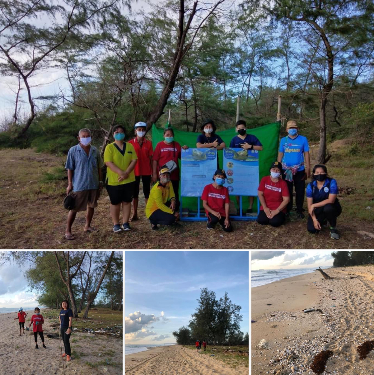 สำรวจการวางไข่เต่าทะเลชายหาดสงขลา ยังไม่พบมีเพิ่ม
