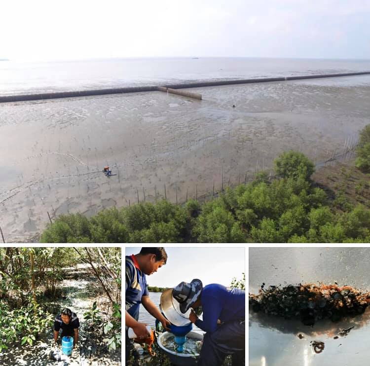 สำรวจความหลากหลายหาดเลนปากแม่น้ำท่าจีน