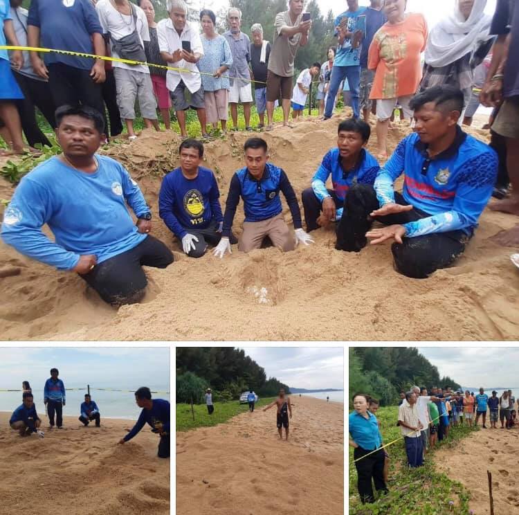 หายเหนื่อย พบแล้วหลุมไข่เต่ามะเฟืองรังที่๖ หาดคึกคัก