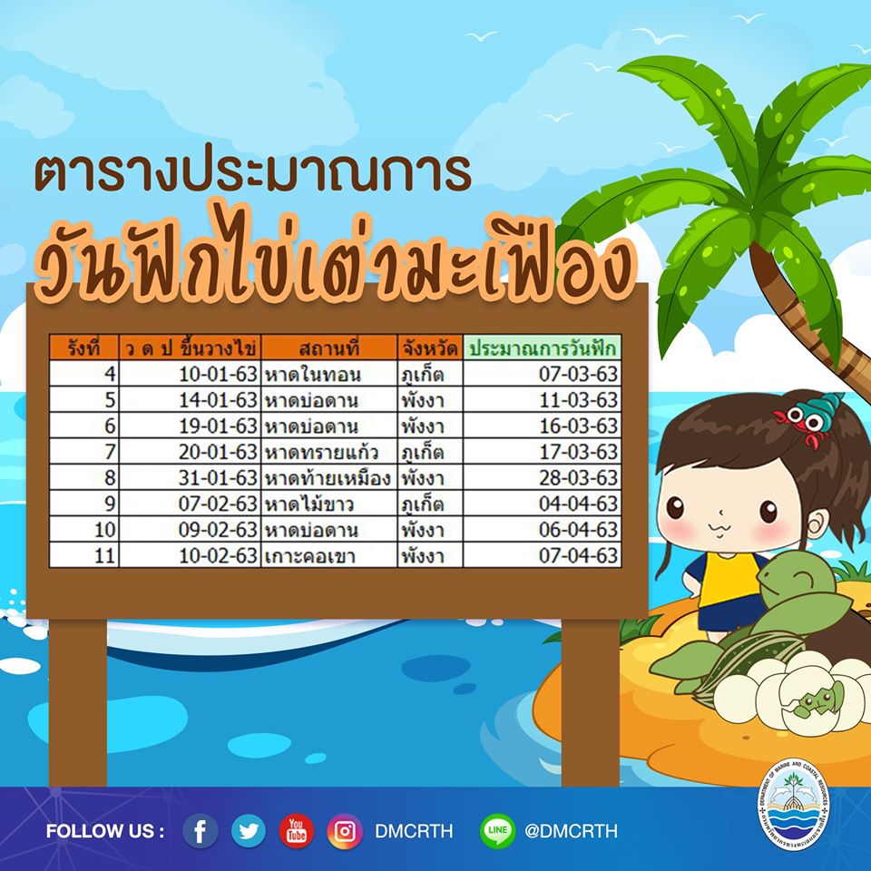 เรารักเต่ามะเฟือง ตอนที่ ๑๐ : รอลุ้นพบลูกเต่ามะเฟือง