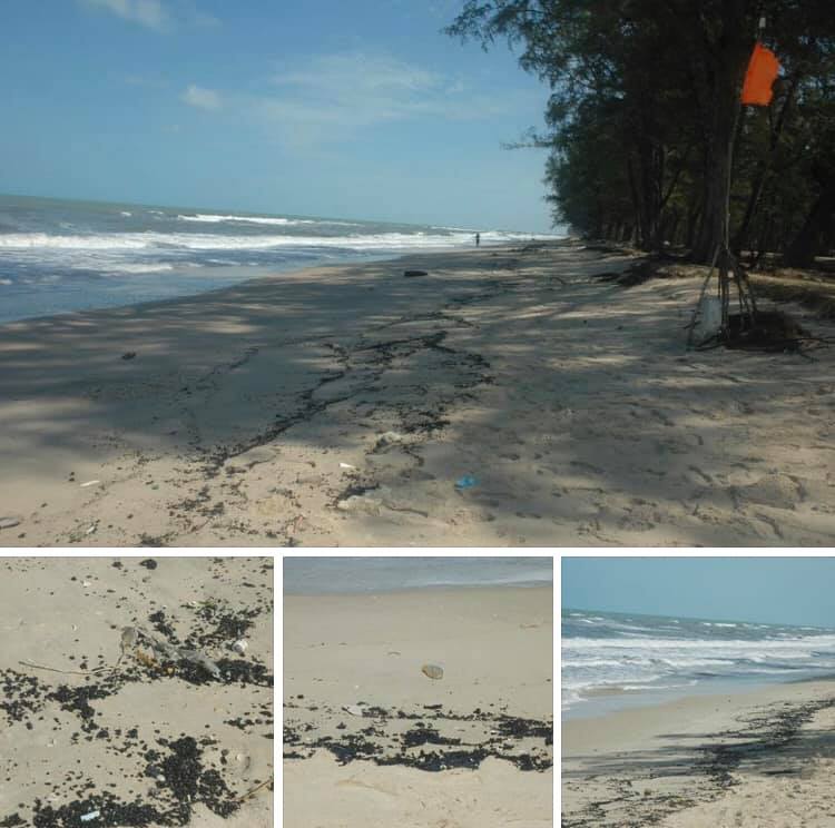 พบก้อนน้ำมันเป็นทางยาว ชายหาดสงขลา
