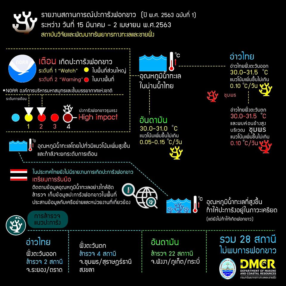 ลุ้นๆ ปะการังไทย ปีนี้เราจะไม่ฟอกขาว