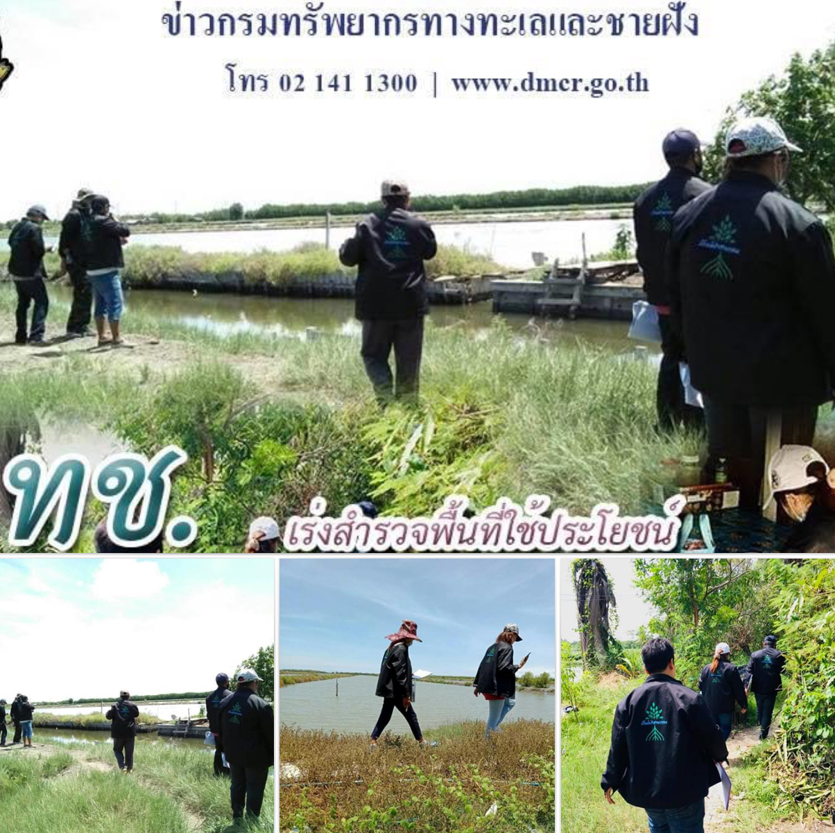 ลุยสำรวจเพิ่มพื้นที่ป่าชายเลนบางขุนเทียน สู้ภัยโควิด