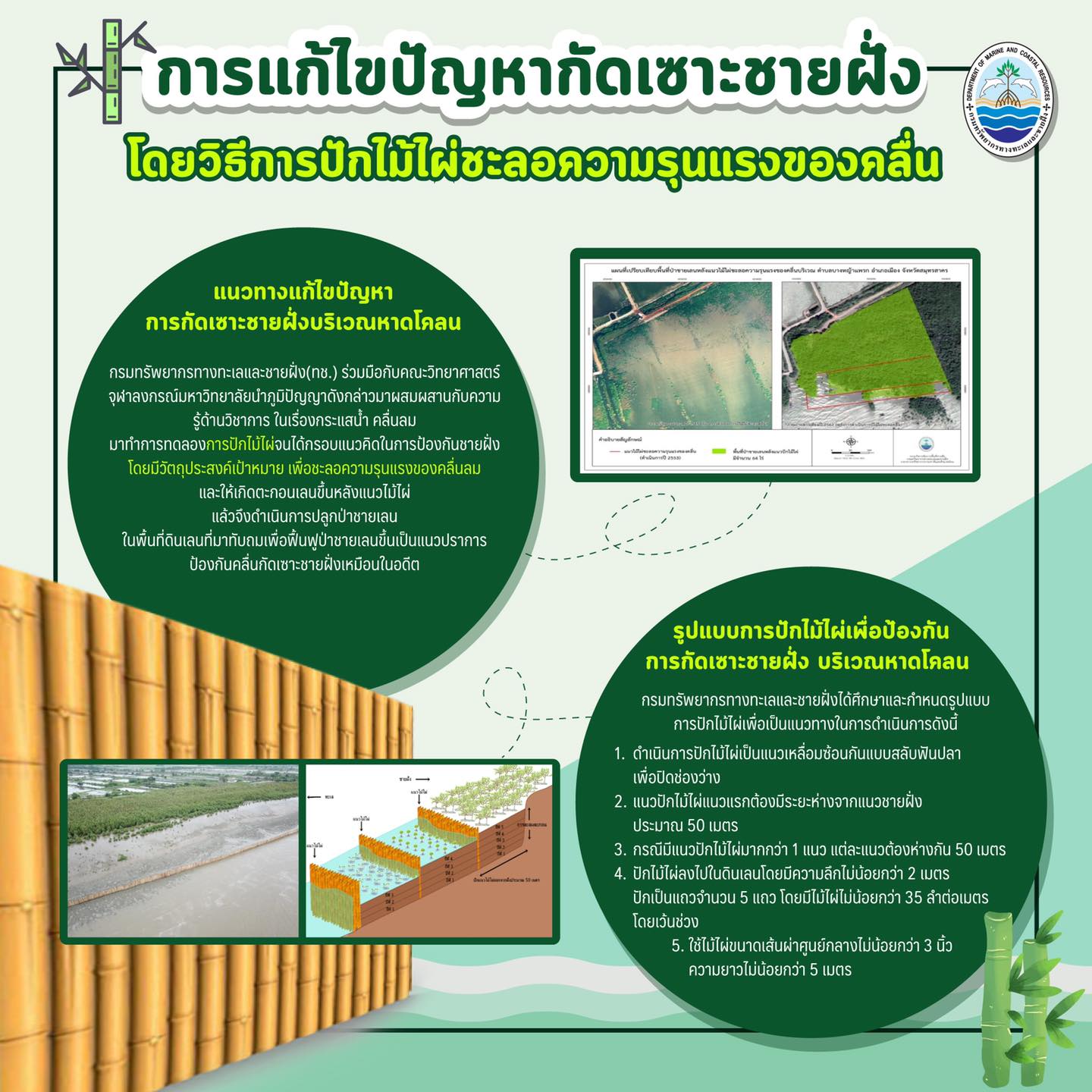 ร่วมปกป้องหาดโคลนกับ ทช. ด้วยแนวไม้ไผ่ชะลอคลื่น