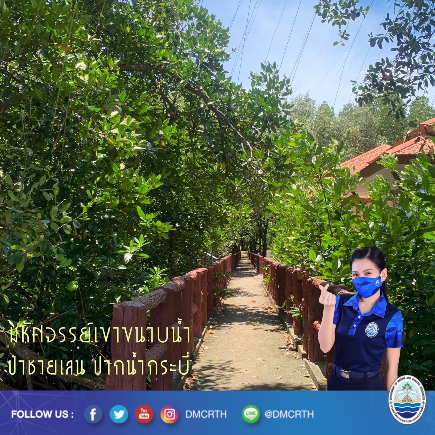 สวัสดี พี่น้องเครือข่ายอนุรักษ์ทะเลไทย