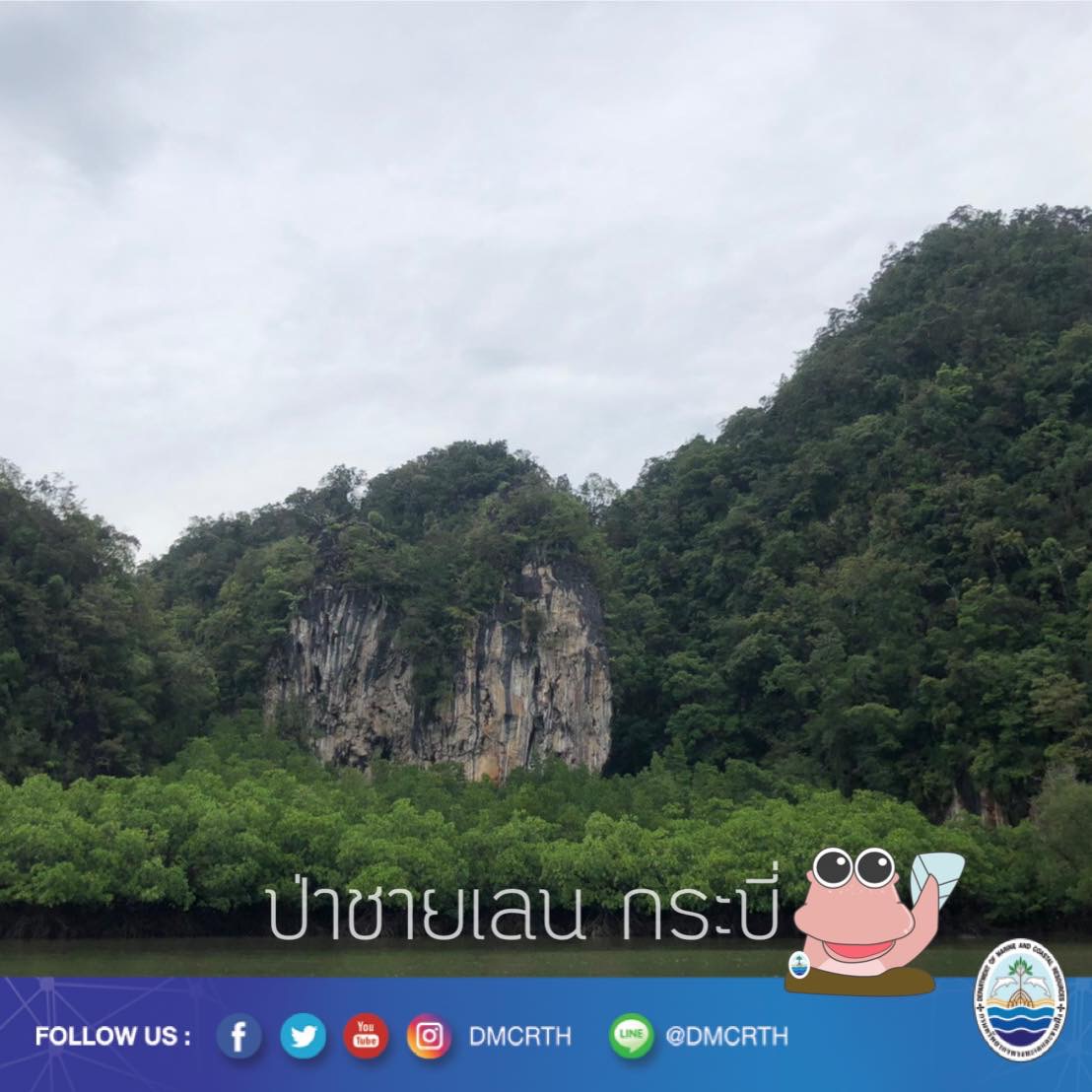 สวัสดี พี่น้องเครือข่ายอนุรักษ์ทะเลไทย