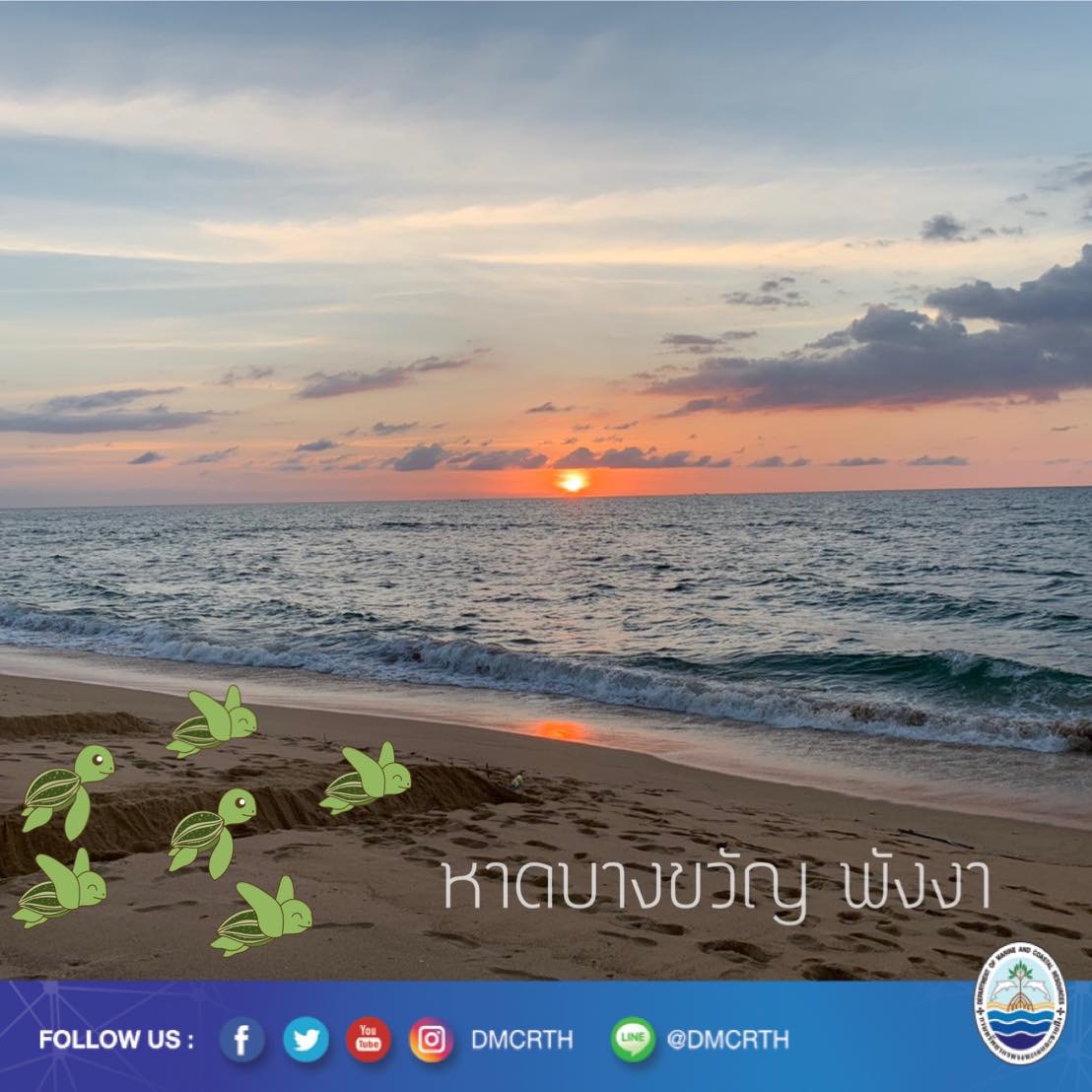 สวัสดี พี่น้องเครือข่ายอนุรักษ์ทะเลไทย