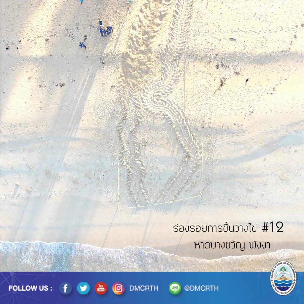 สวัสดี พี่น้องเครือข่ายอนุรักษ์ทะเลไทย