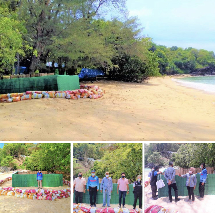 หายห่วง รังไข่เต่าตนุหาดราไวย์ ริมทะเลภูเก็ตปลอดภัยดี