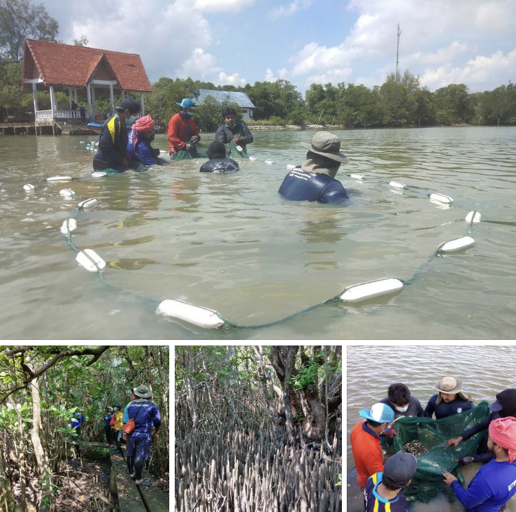 ศึกษาความหลากหลายในพื้นถิ่น ชายฝั่งและทะเลรอบเกาะยอ
