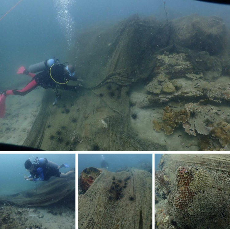 Update สภาพอวนที่เกาะมารวิชัย D-day ๓ กรกฎาคมนี้