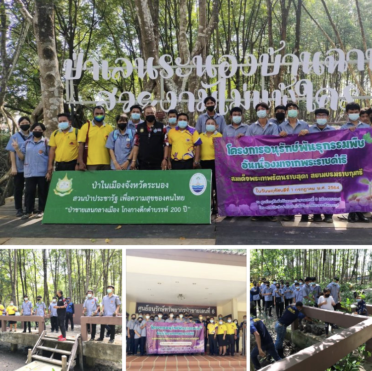 ตัวแทนวิทยาลัยการอาชีพกระบุรี เรียนรู้ป่าชายเลนบ้านเรา