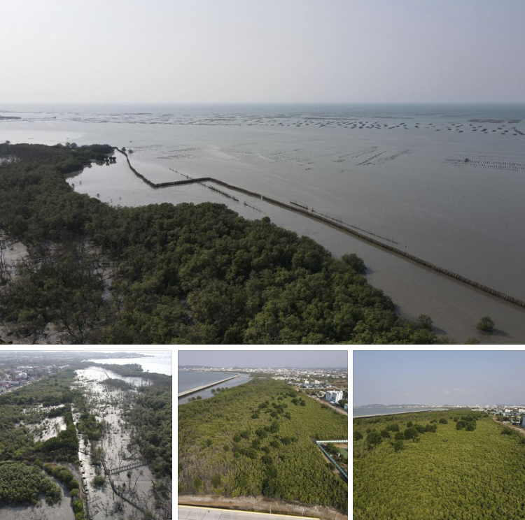 สำรวจสถานภาพทะเลชลบุรี ไม่พบกัดเซาะชายฝั่ง