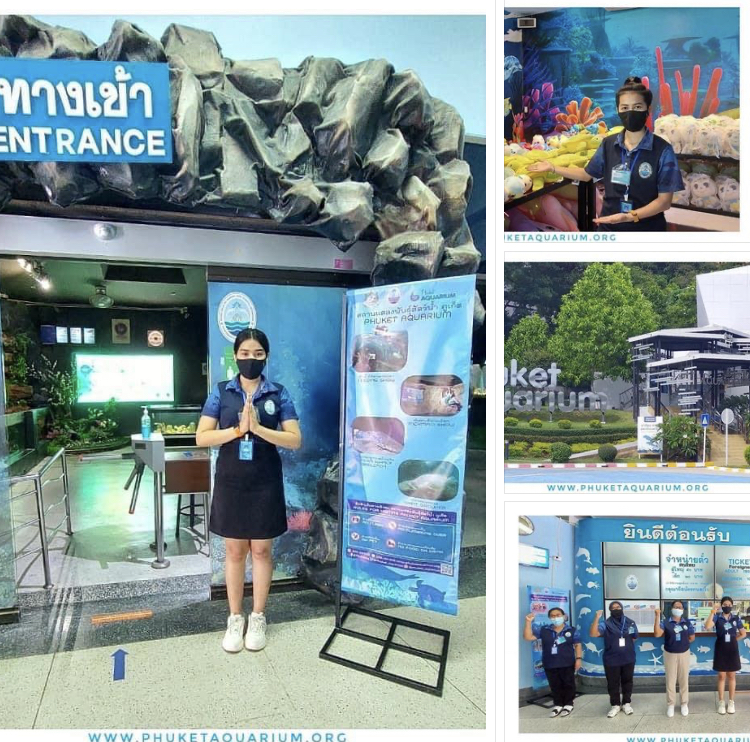 เปิดแล้ว!!! สถานแสดงพันธุ์สัตว์น้ำภูเก็ต Phuket Sandbox