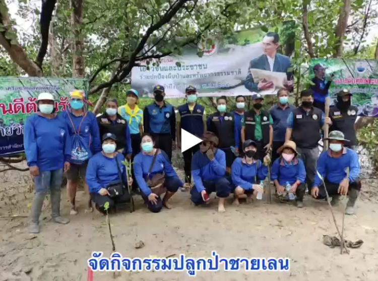รวมพลังพี่น้องอาสาสมัครพิทักษ์ทะเล ฟื้นฟูป่าชายเลนภูเก็ต