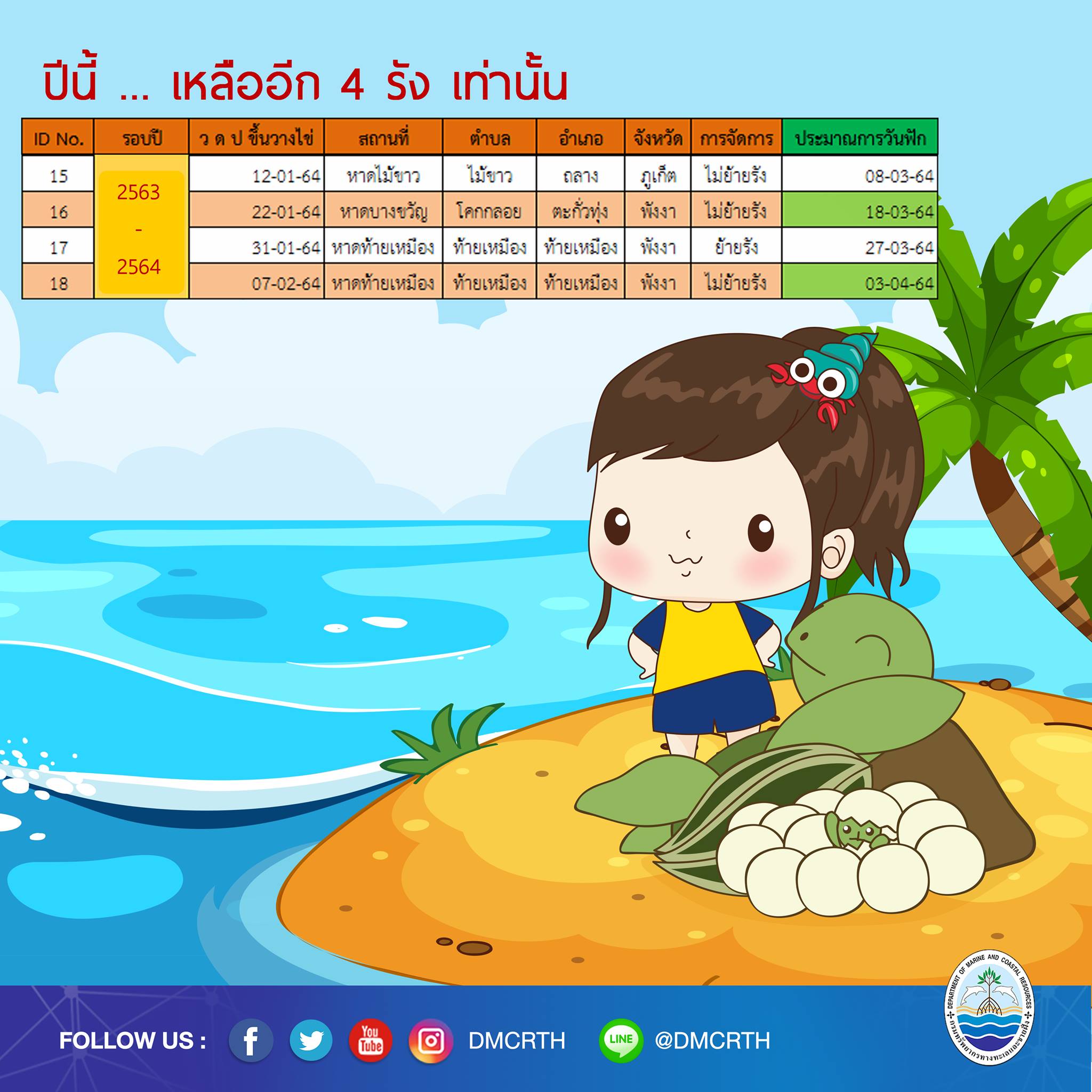 เหลืออีกไม่มากแล้ว รอน้องเต่ามะเฟืองฟักลงทะเลอีกแค่ ๔ รัง
