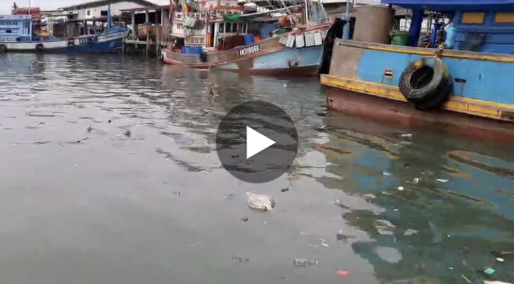ออกเรือเก็บขยะลอยน้ำปากคลองท่าจีน ลดขยะสู่ทะเลภูเก็ต