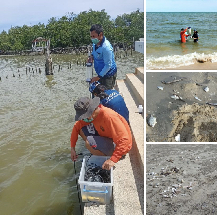พบน้ำทะเลเปลี่ยนสี หาดทรายเม็ดแรก ทะเลเพชรบุรี
